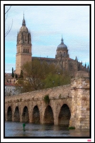 VISTAS DE LA CIUDAD DE SALAMANCA